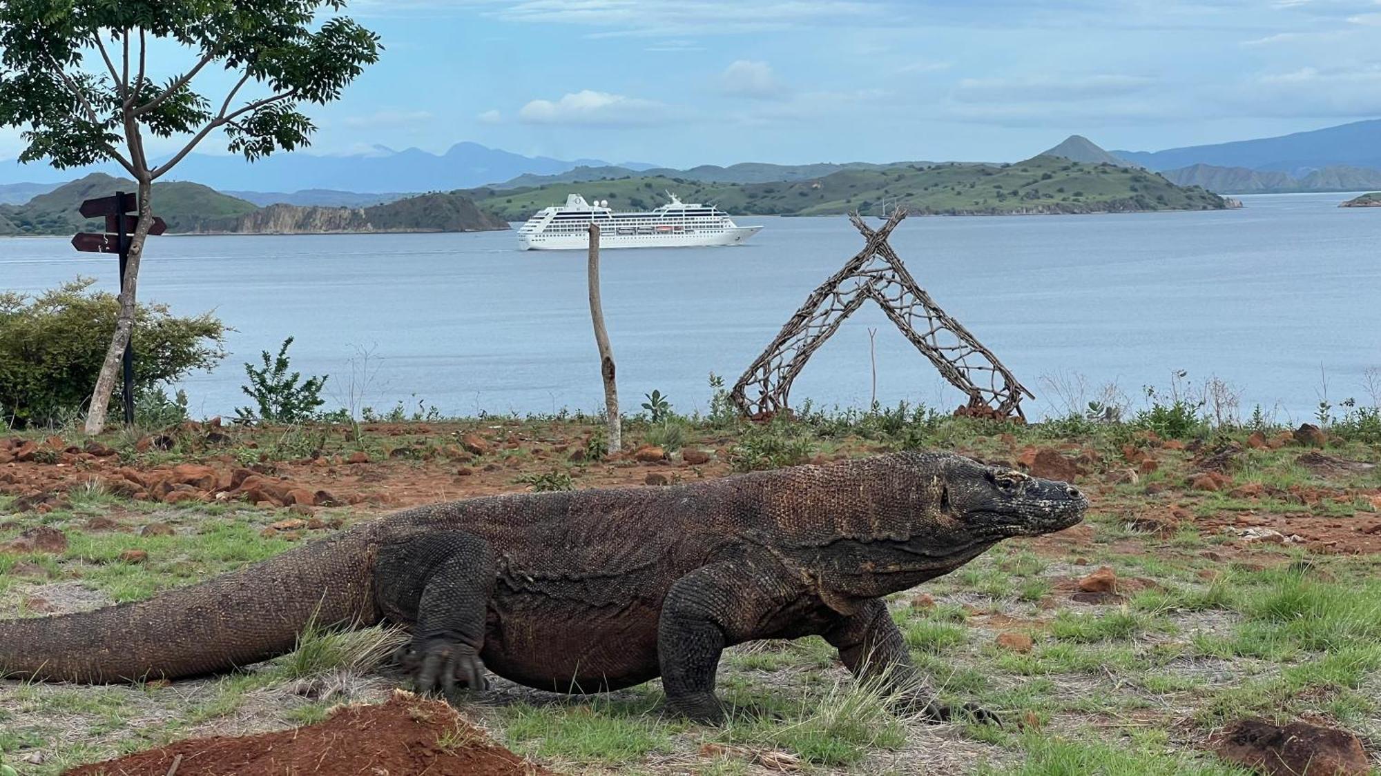 Jhuna Komodo Homestay Экстерьер фото